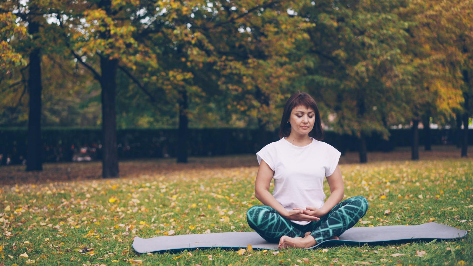magnesium glycinate vs malate | PEPAX Supplements