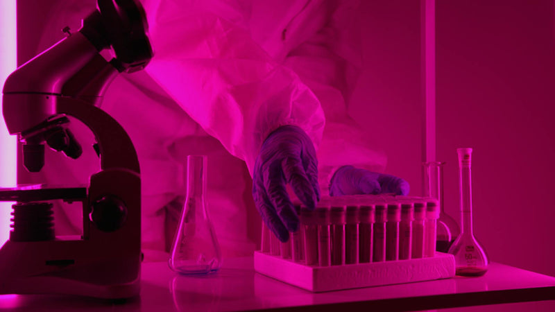 magnesium in pregnancy | PEPAX Supplements